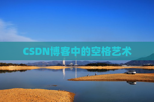 CSDN博客中的空格艺术